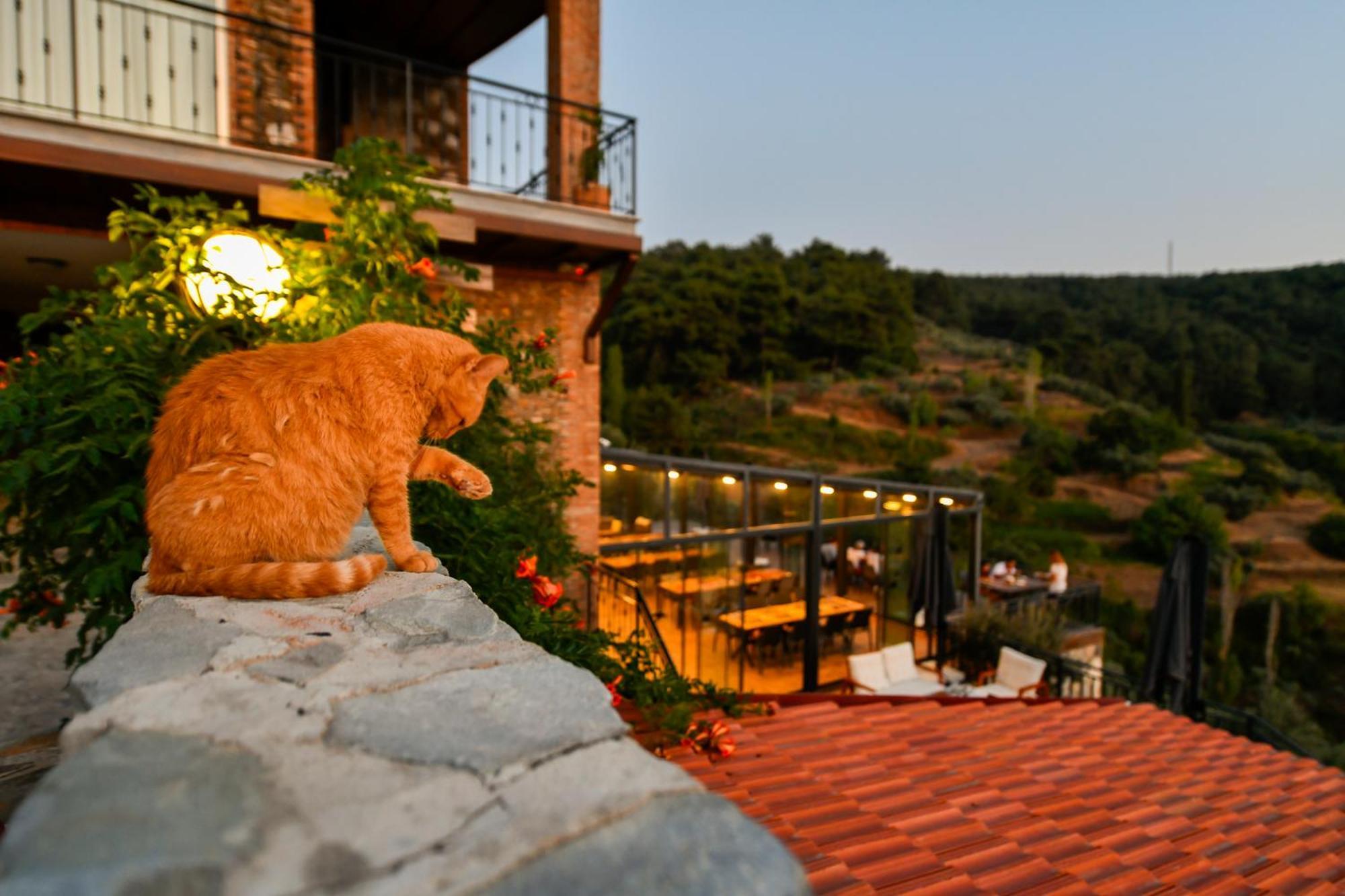 Ephesus Retreat Hotel Esmirna Exterior foto