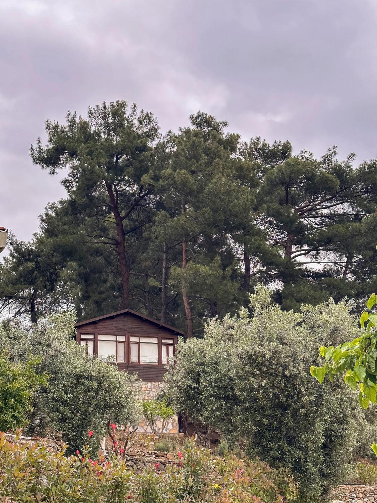Ephesus Retreat Hotel Esmirna Exterior foto